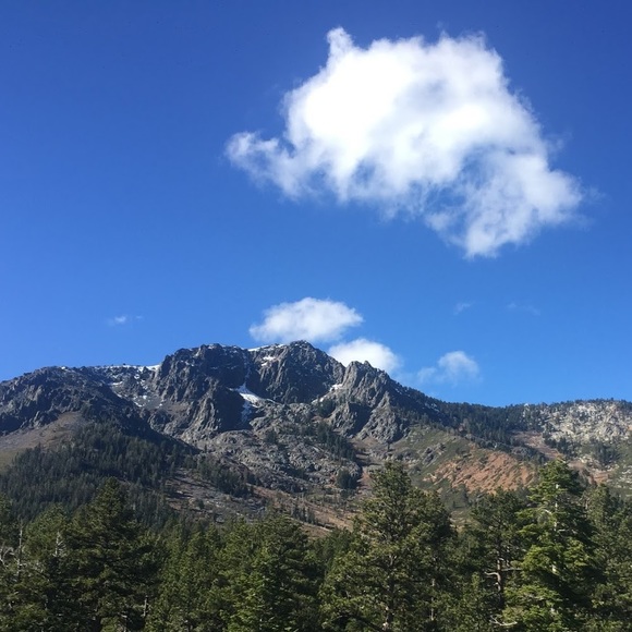 Meet your Posher, Alison - Picture 1 of 1